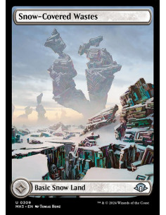 Snow-Covered Wastes - Foil