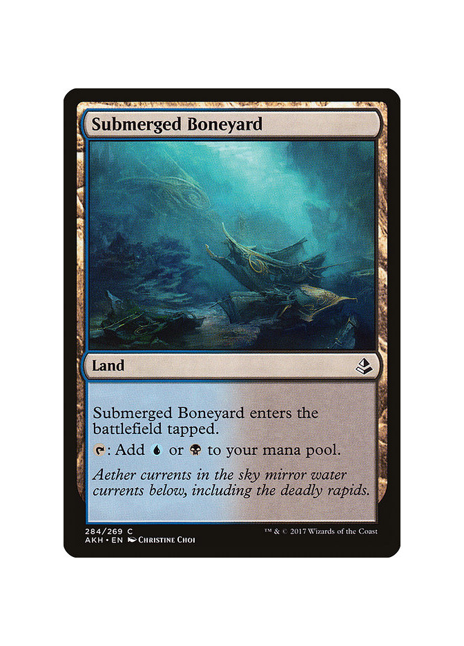 Submerged Boneyard