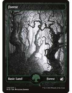 Forest - Foil