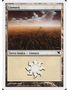 Plains