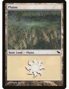 Plains - Foil