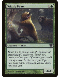 Grizzly Bears - Foil