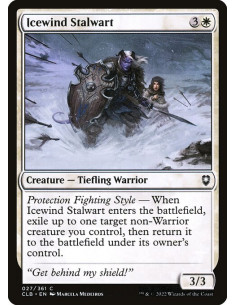 Icewind Stalwart - Foil