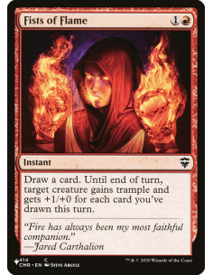 Fists of Flame