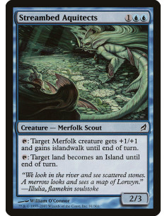 Streambed Aquitects - Foil