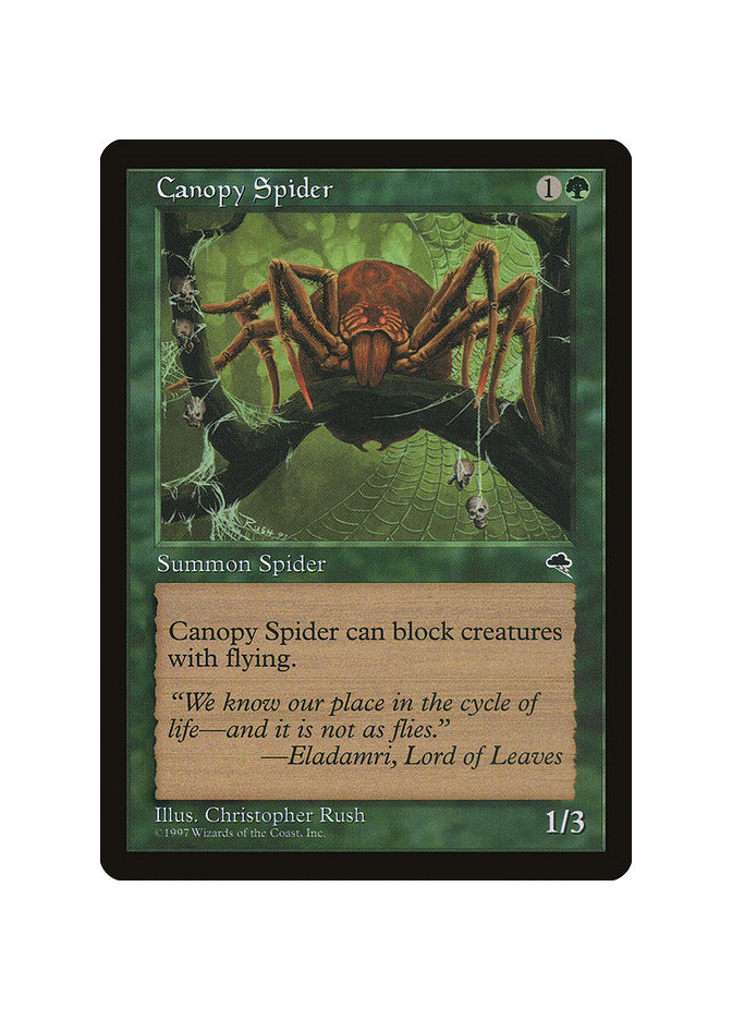 Canopy Spider