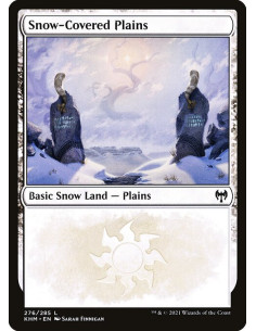 Snow-Covered Plains