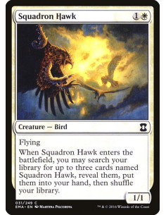 Squadron Hawk