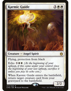 Karmic Guide