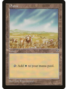 Plains
