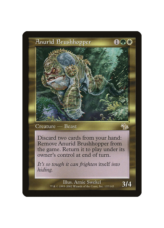 Anurid Brushhopper - Foil