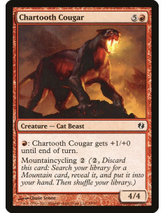 Chartooth Cougar