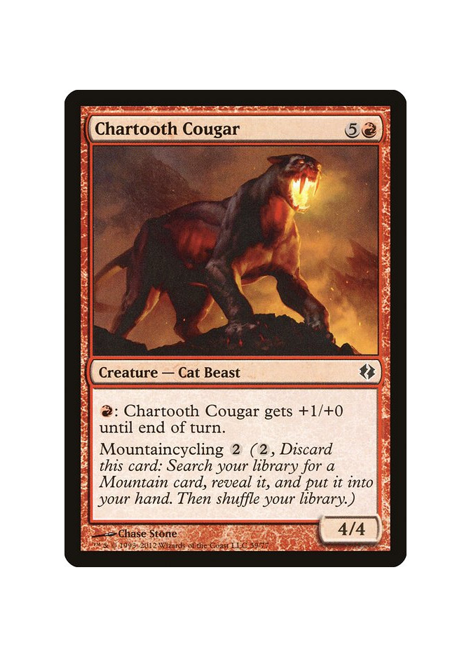 Chartooth Cougar