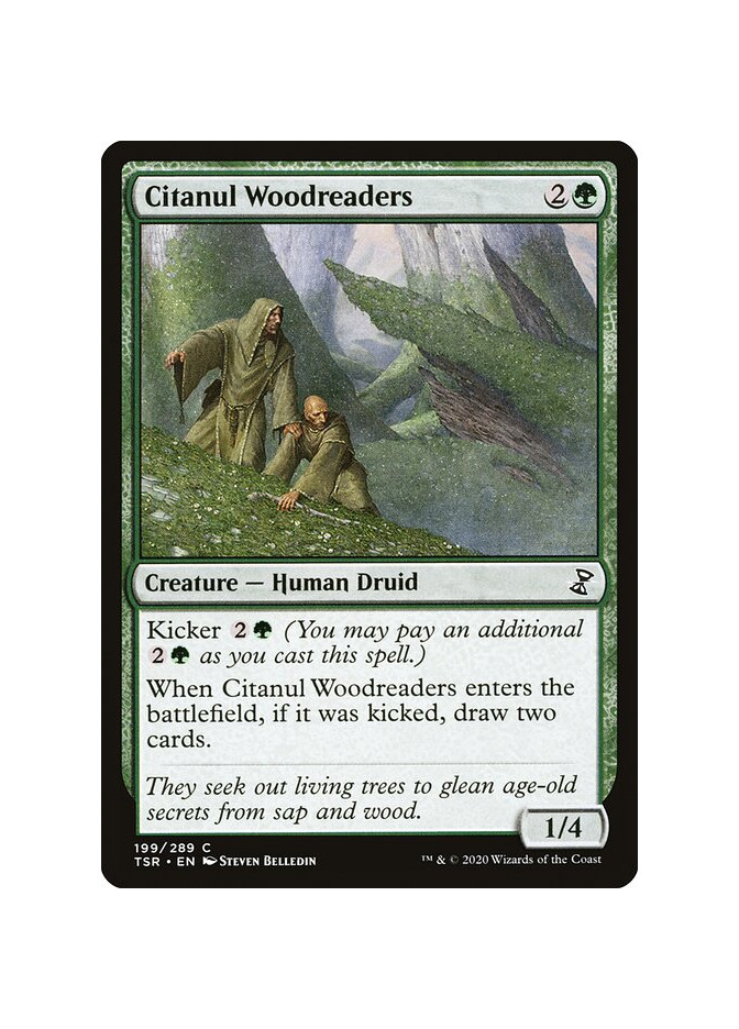Citanul Woodreaders - Foil