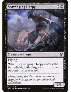 Scavenging Harpy
