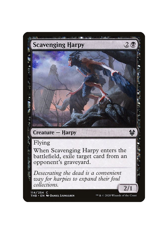 Scavenging Harpy