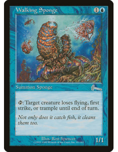 Walking Sponge
