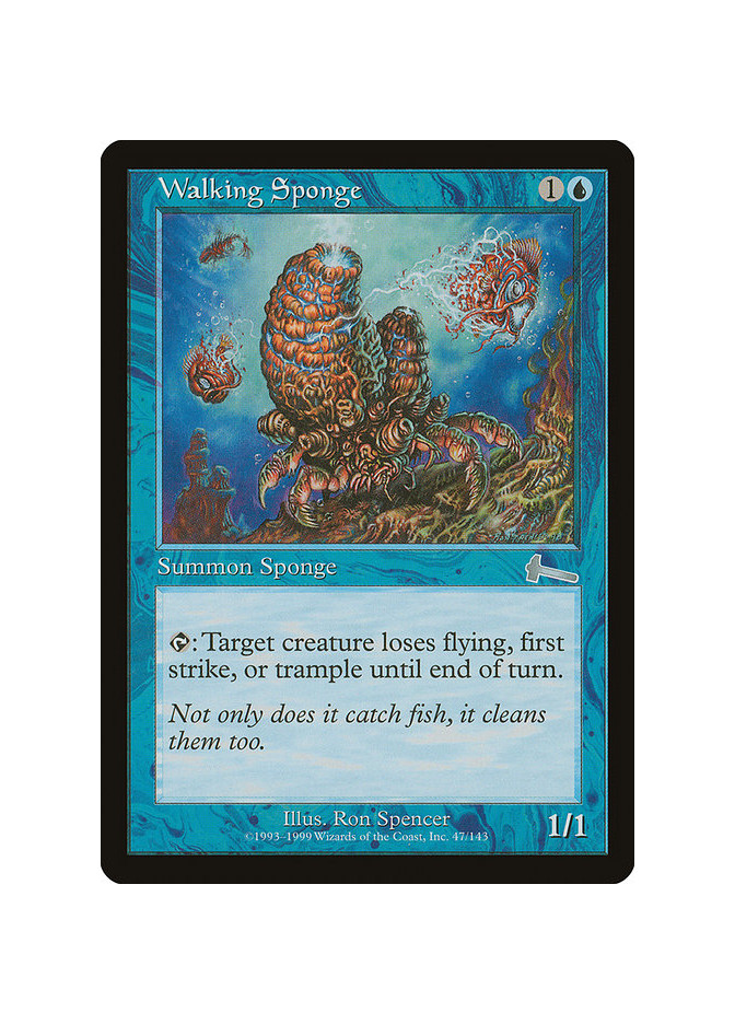 Walking Sponge