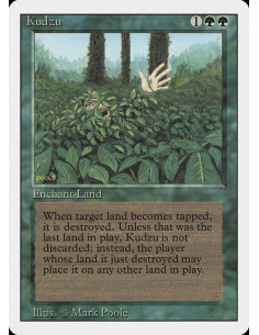 Kudzu