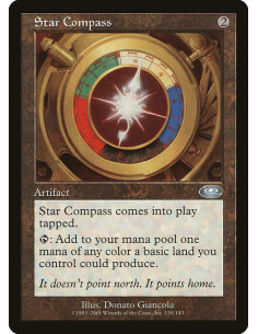 Star Compass - Foil