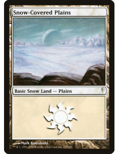 Snow-Covered Plains