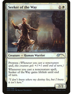 Seeker of the Way - Foil