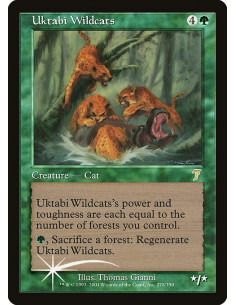 Uktabi Wildcats - Foil