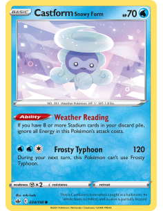 Castform Snowy Form