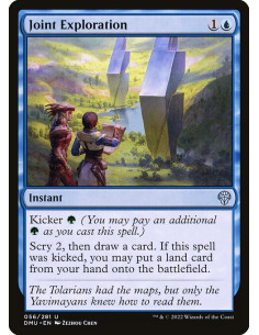 Joint Exploration - Foil