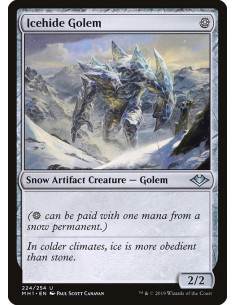 Icehide Golem