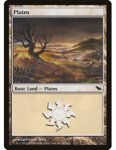 Plains