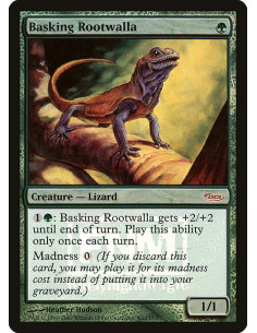 Basking Rootwalla - Foil