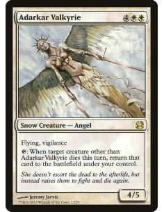 Adarkar Valkyrie