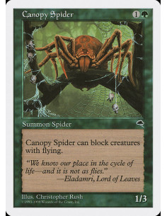 Canopy Spider