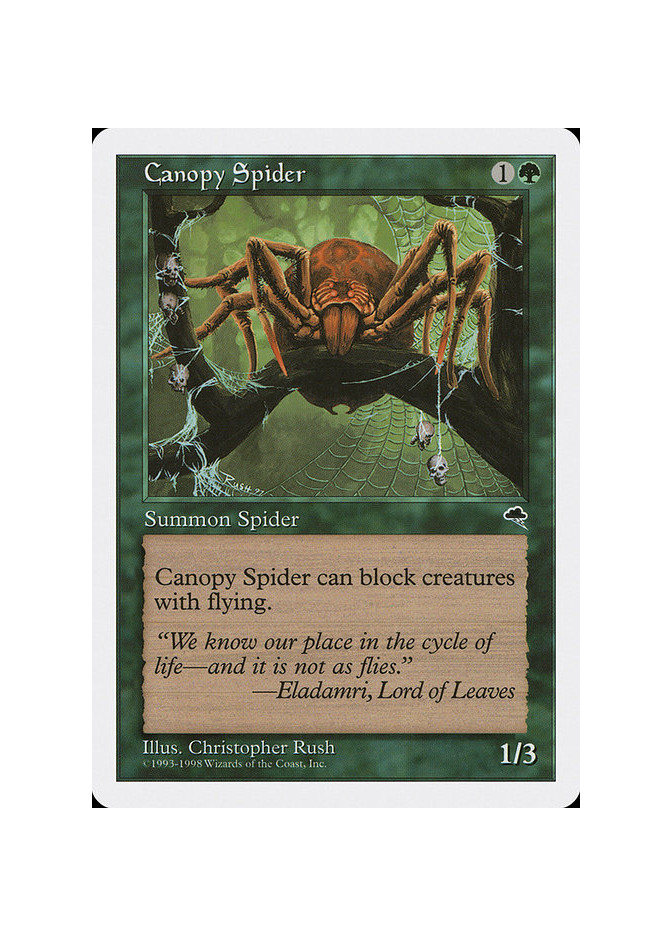 Canopy Spider