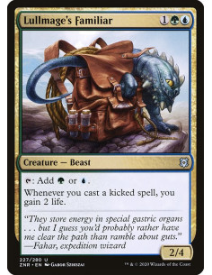 Lullmage's Familiar - Foil