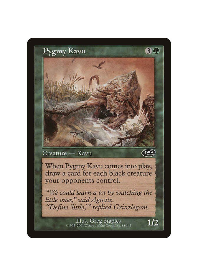 Pygmy Kavu