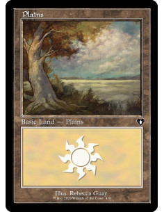 Plains