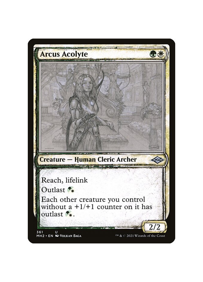 Arcus Acolyte