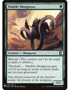 Nimble Mongoose