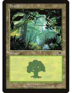 Forest - Foil