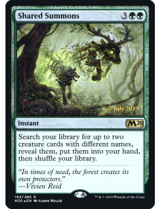 Shared Summons - Foil