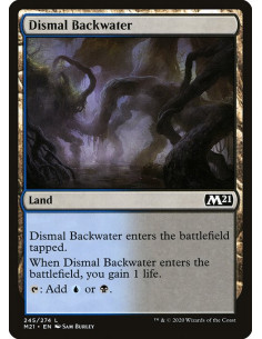Dismal Backwater