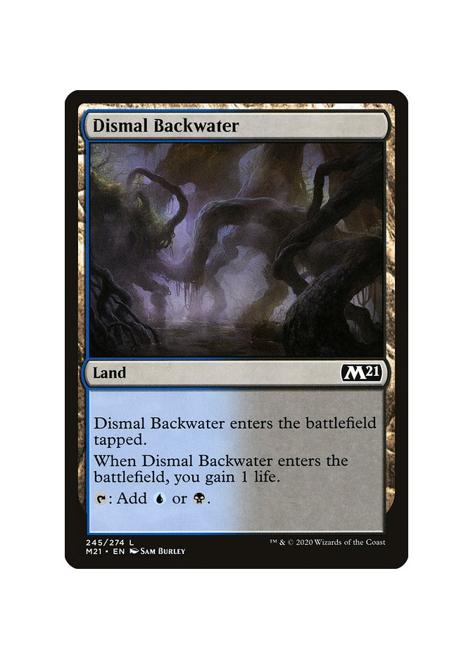 Dismal Backwater - Foil