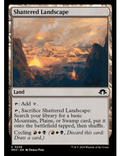 Shattered Landscape