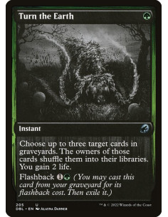 Turn the Earth - Foil