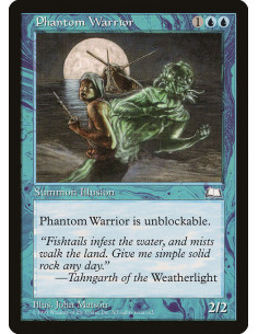 Phantom Warrior