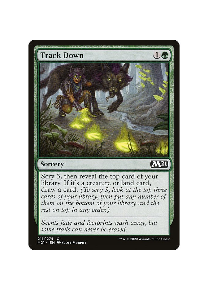 Track Down - Foil
