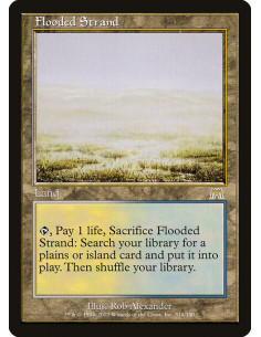Flooded Strand - Foil