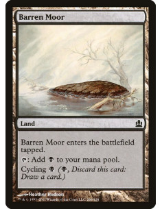 Barren Moor